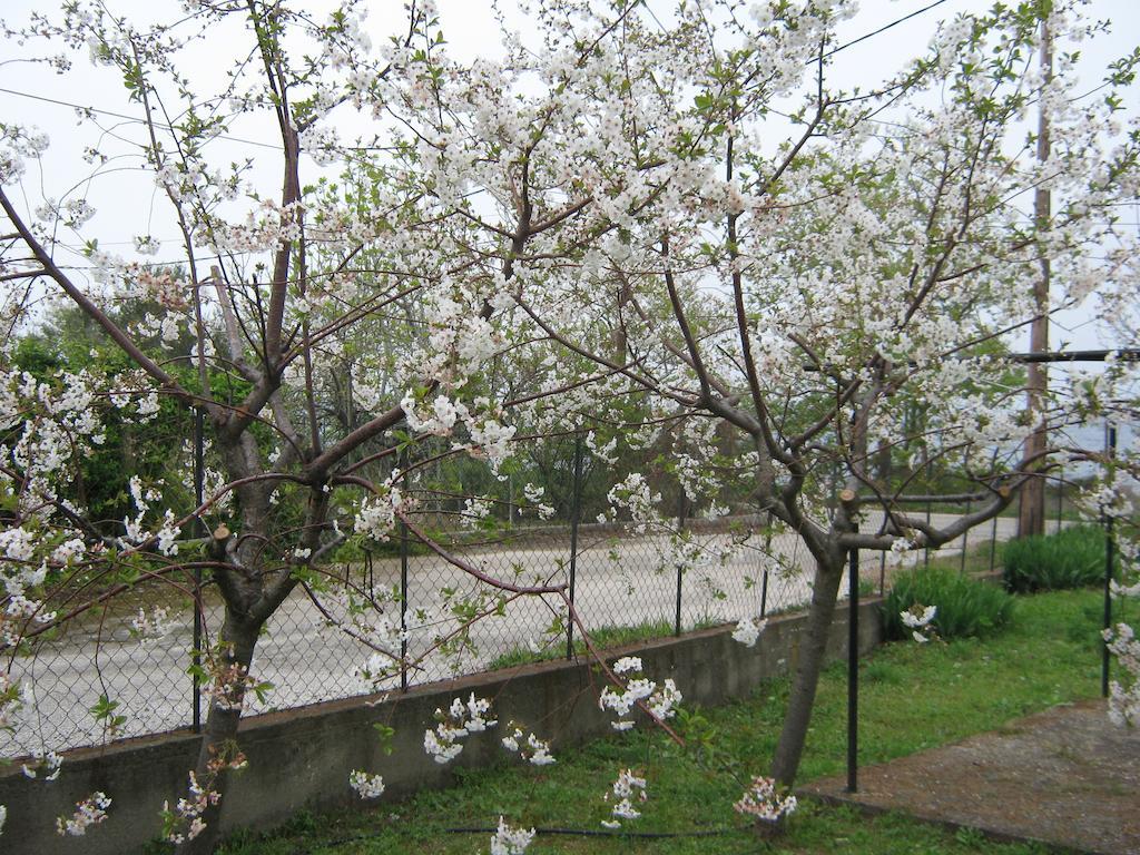 Asprovalta Rooms Kariotes Екстер'єр фото